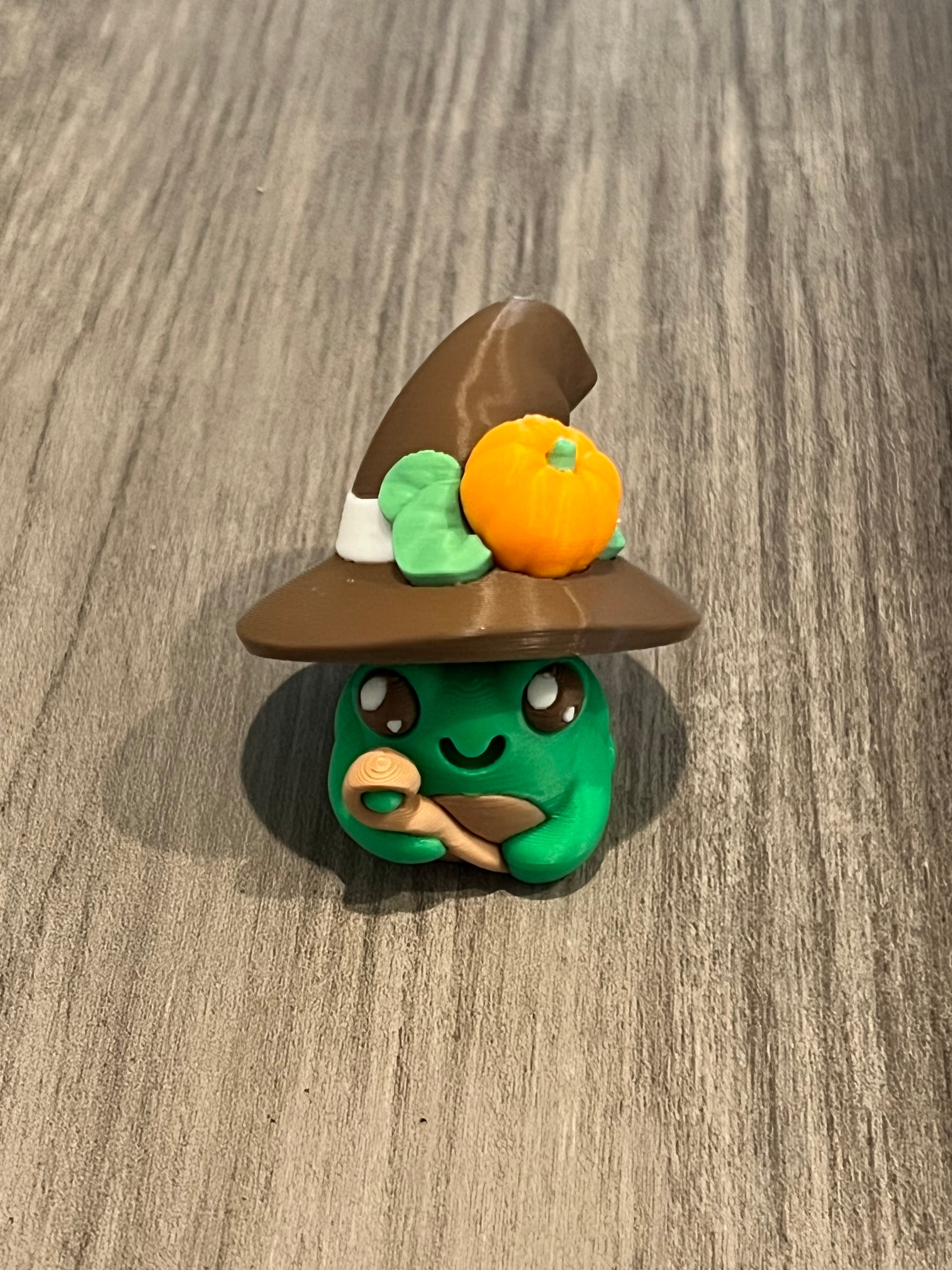 Witch Frog Fidget Clicker 3D Print