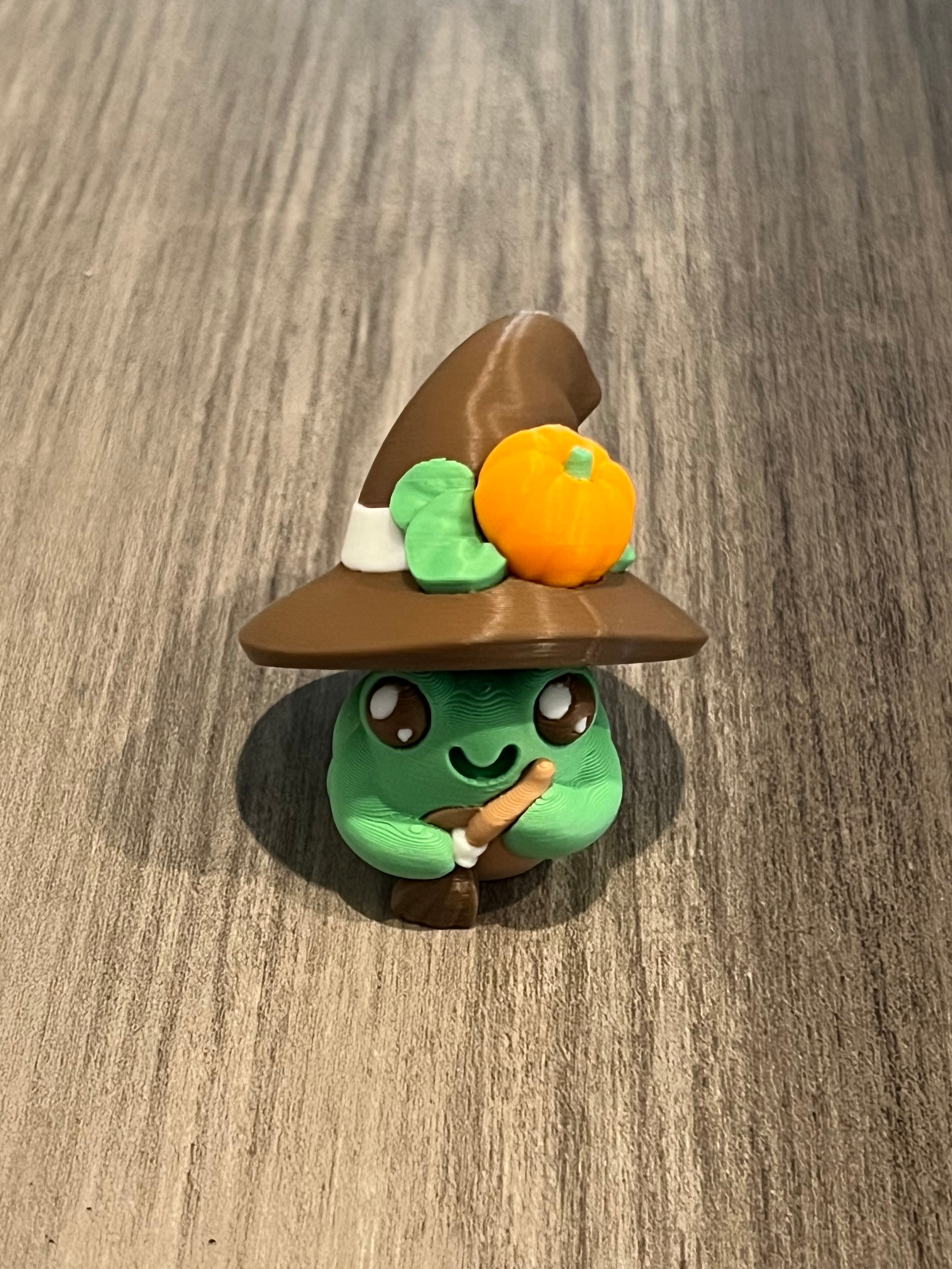 Witch Frog Fidget Clicker 3D Print