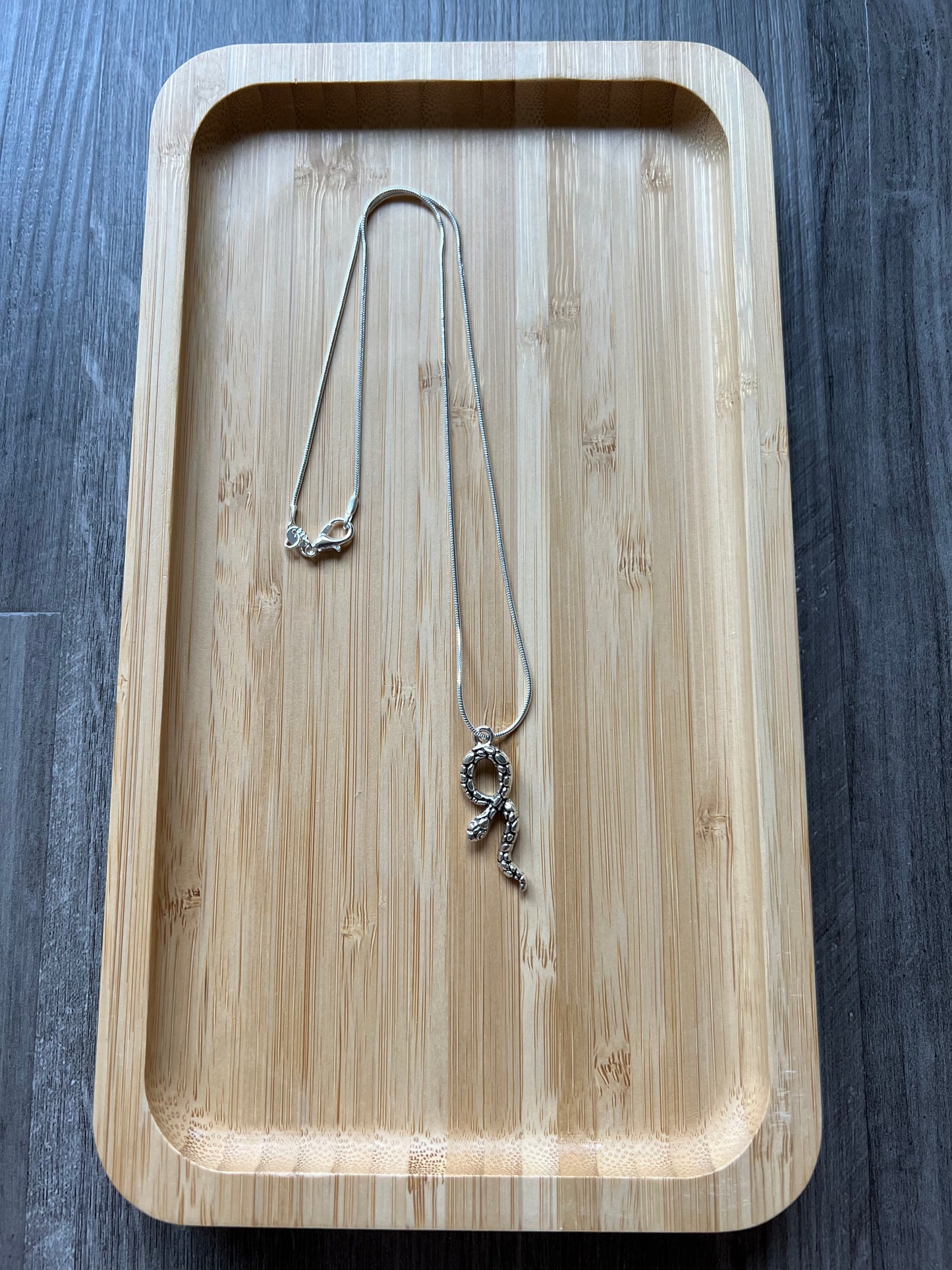Silver Snake on Silver Snake Chain