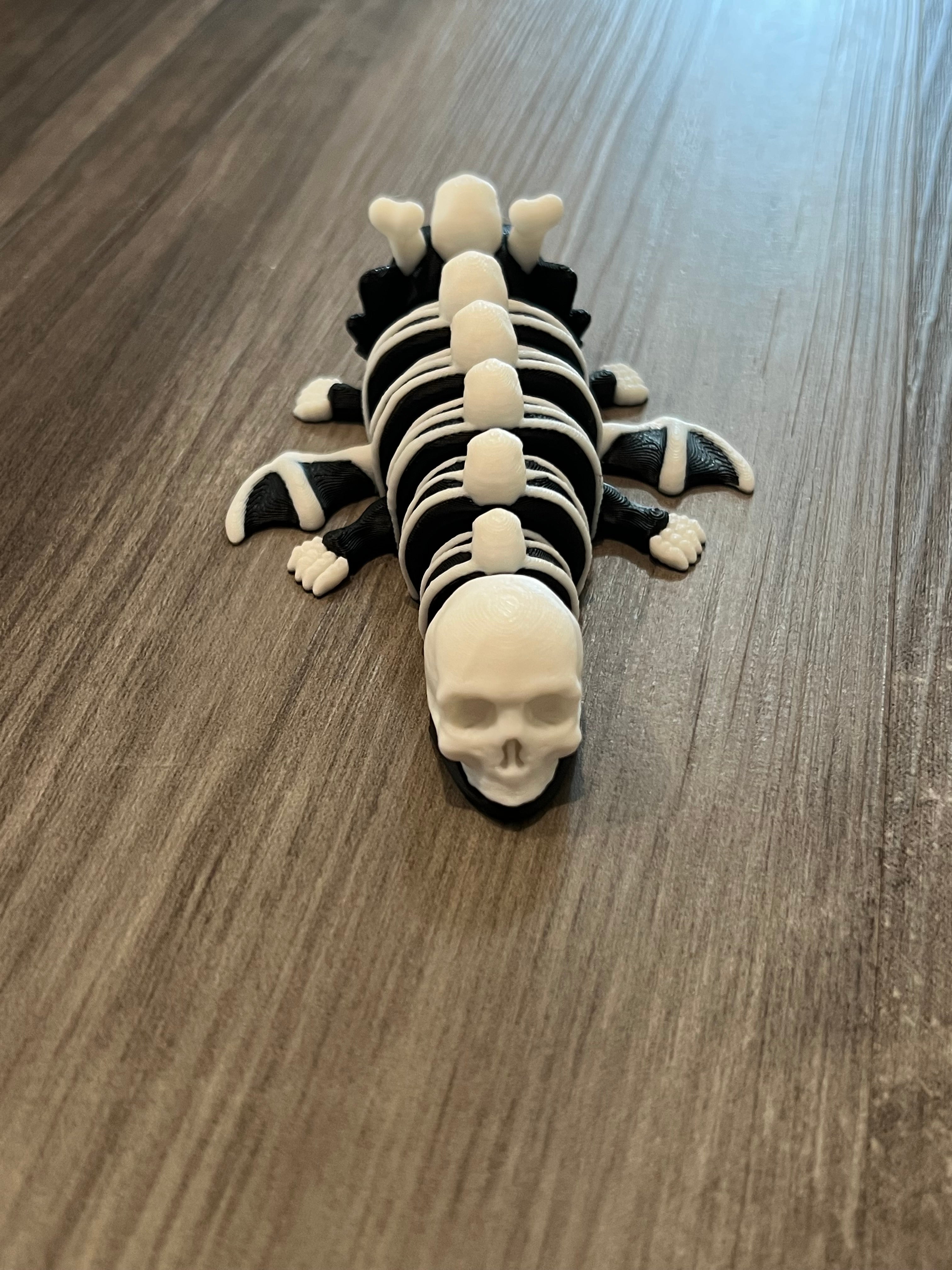 Skull Dragon - 3D Print